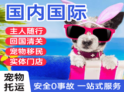 左旗巴彦浩特机场邮寄国际宠物托运 【国